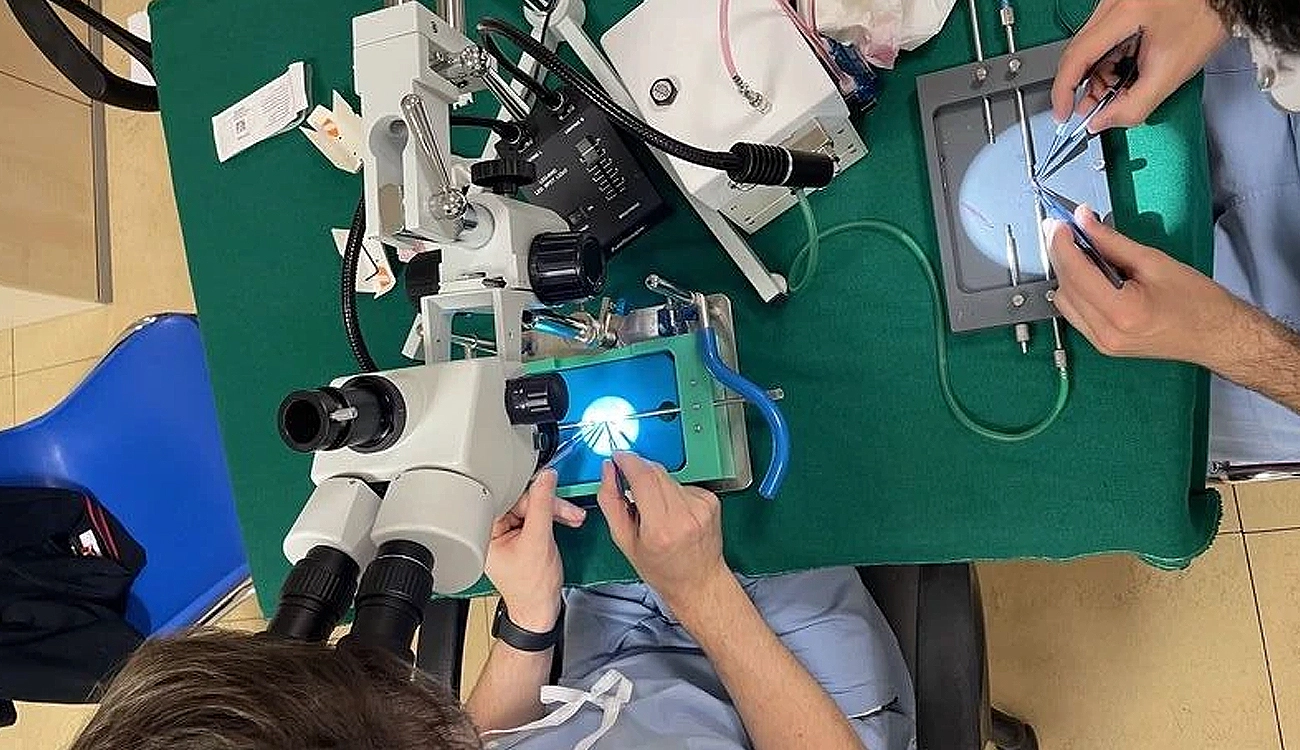 Our TCV teaching platform in Neurosurgery in Verona-Practical exercises